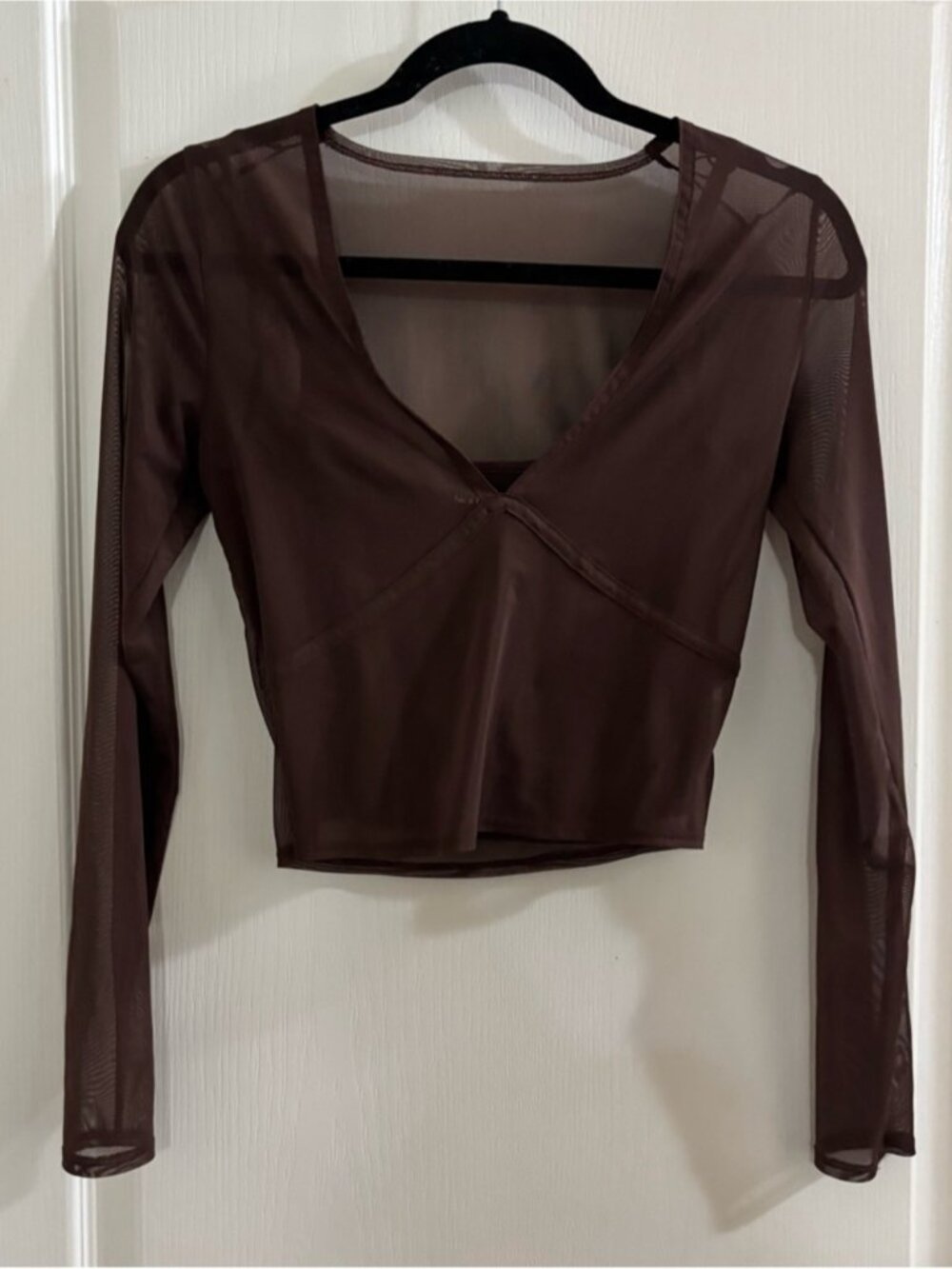 Abercrombie & Fitch Chocolate Brown Sheer V-Neck Long Sleeve Crop Top
